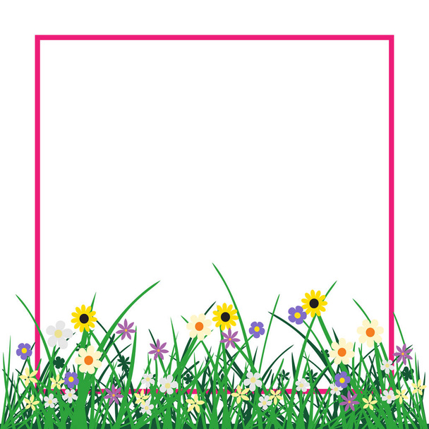 трава і квіти рослина ізольовані на білому
 - Вектор, зображення