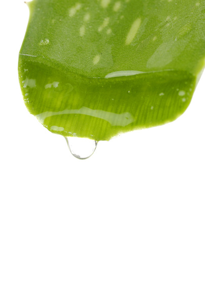 Green leaf of aloe - Valokuva, kuva