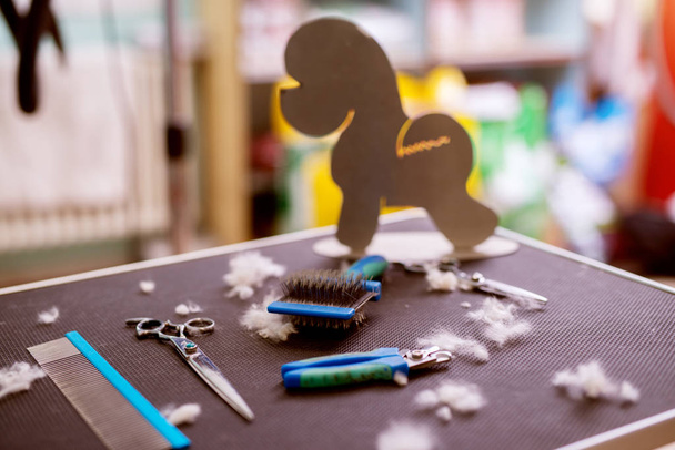 herramientas de peluquería animal en la mesa rodeada de pieles cortadas y clipart perro en el salón de animales
 - Foto, imagen