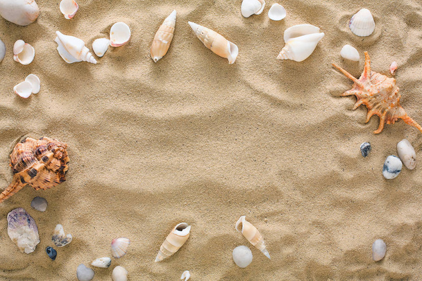 Deniz kabuklarını ve çakıl arka plan, deniz kıyısı taşlar - Fotoğraf, Görsel