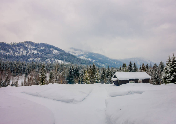 Weergave van traditionele berg houten huizen bedekt met sneeuw in de prachtige natuur achtergrond in Noorwegen - Foto, afbeelding