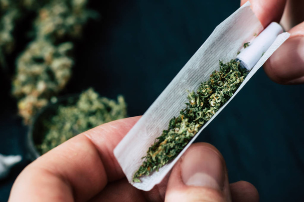 Не полностью свернутый косяк в руках человека марихуаны сорняки Концепция легализации марихуаны и использование марихуаны в медицинских целях
 - Фото, изображение
