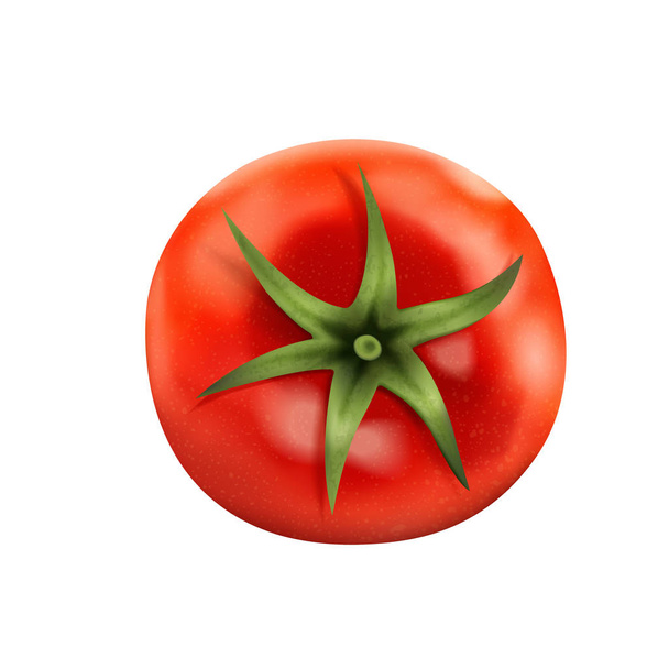 Top view of fresh tomato - Vettoriali, immagini