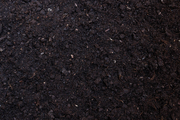 Текстура почвы или фон сверху, вид сверху
 - Фото, изображение