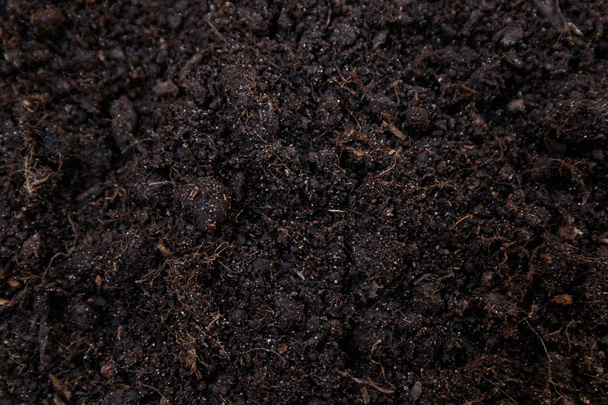Текстура почвы или фон сверху, вид сверху
 - Фото, изображение