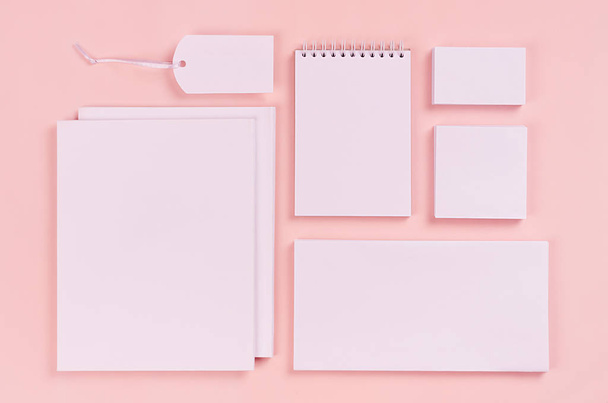 Corporate identity template, white stationery set with blank bussines cards, labels, stickers, notepad, envelops, broshures on pastel pink stylish background.  - Foto, immagini