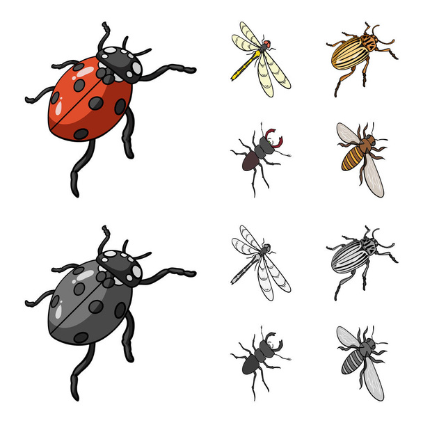 Artrópodos Insectos mariquita, libélula, escarabajo, escarabajo de Colorado Insectos conjunto de iconos de la colección en la historieta, el estilo monocromo vector símbolo stock isométrica ilustración web
. - Vector, imagen