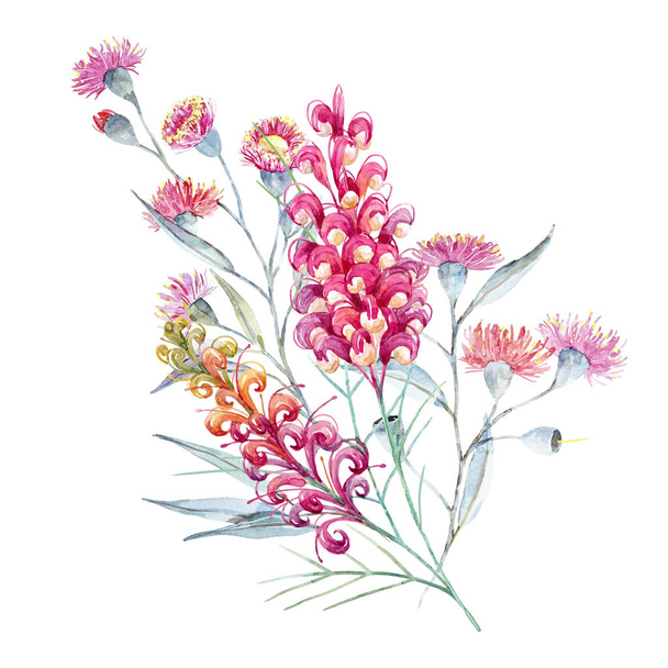 Watercolor australian grevillea composition - Фото, зображення