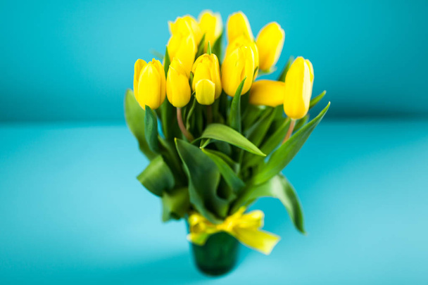 Sárga tulipán kék alapon - Fotó, kép