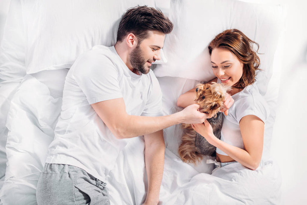 overhead view of young couple in love with yorkshire terrier lying on bed together - Zdjęcie, obraz