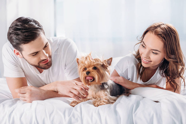 smiling couple in love with yorkshire terrier resting on bed together - Foto, immagini