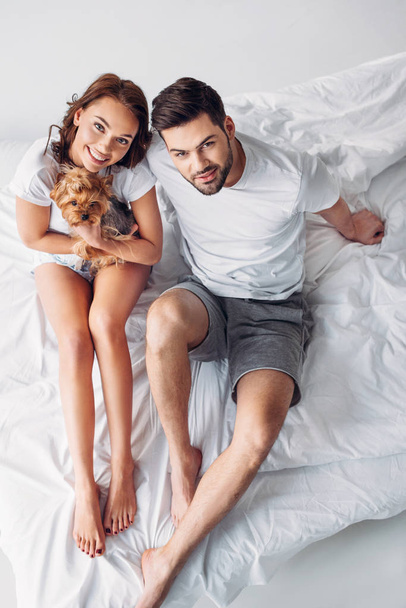 overhead view of young couple in love with yorkshire terrier resting on bed together  - Photo, image