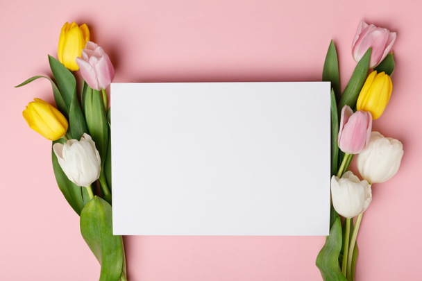 Spring tulip flowers with blank paper isolated on pink - Foto, Bild