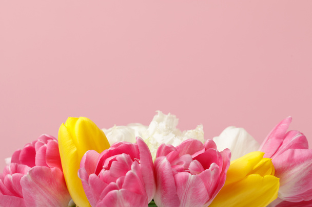 Spring flowers tulips isolated on pink background - Foto, Imagem