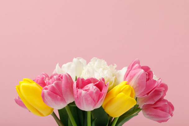Tender blooming colorful tulips isolated on pink background - Fotoğraf, Görsel