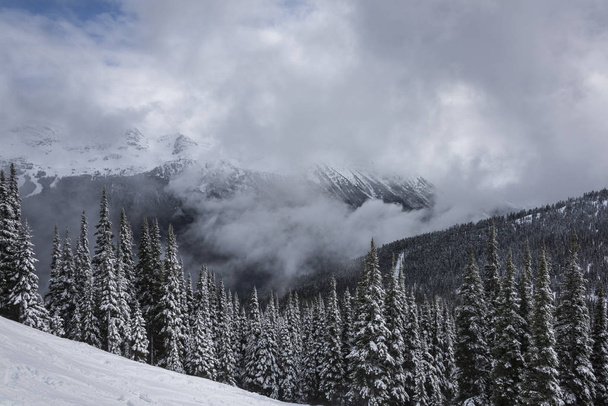 Vista de árvores cobertas de neve com montanhas no inverno, Whistler Mountain, British Columbia, Canadá
 - Foto, Imagem