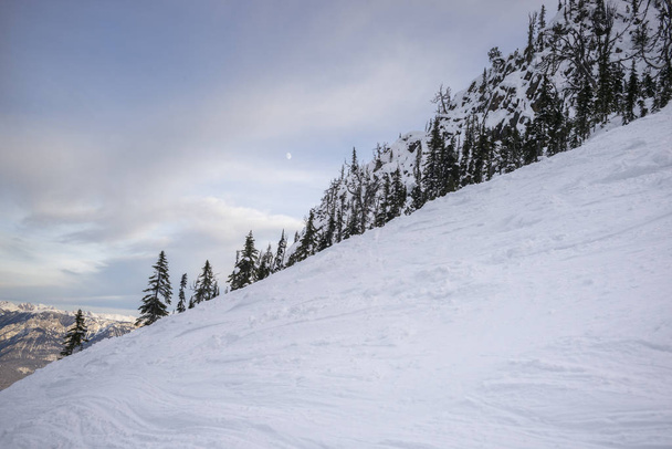 Árboles cubiertos de nieve con montaña en invierno, Kicking Horse Mountain Resort, Golden, British Columbia, Canadá
 - Foto, Imagen