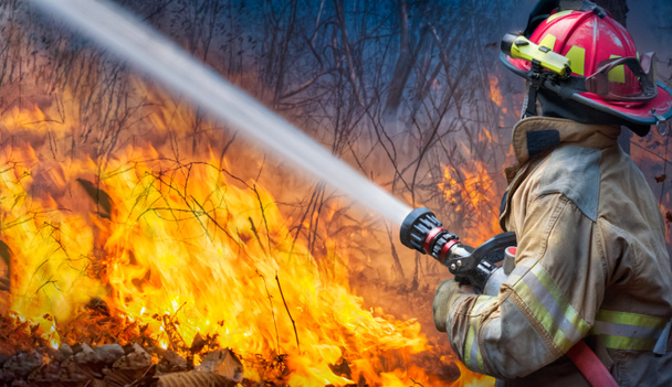 Feuerwehrleute versprühen Wasser für Flächenbrand - Foto, Bild