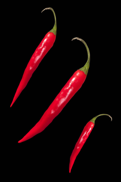 Punainen kuuma chili paprikat eristetty puhtaalla mustalla pohjalla
. - Valokuva, kuva