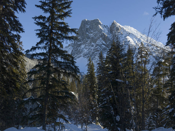冬、エメラルド湖、ヨーホー国立公園、ブリティッシュ ・ コロンビア、カナダの木と山が雪に覆われています。 - 写真・画像