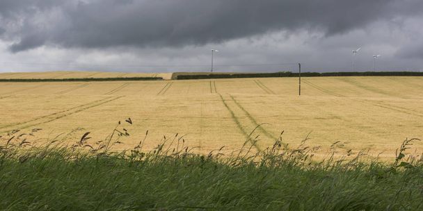 Veduta del paesaggio agricolo contro il cielo nuvoloso, Perth e Kinross, Scozia
 - Foto, immagini
