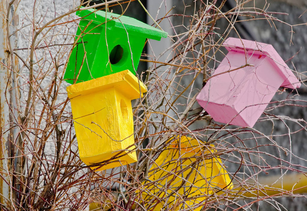 Bright decorative birdhouses  - Photo, Image