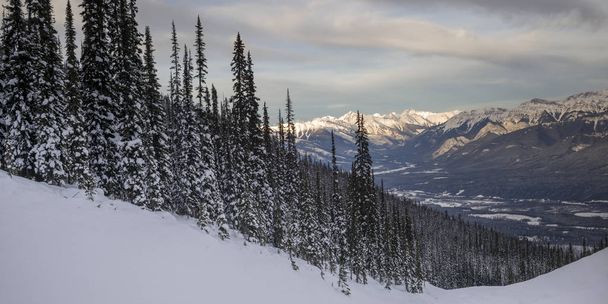 雪が山に木を覆われた冬、キッキング ホース マウンテン リゾート、ゴールデン、ブリティッシュ コロンビア州、カナダ - 写真・画像