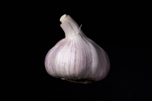 One isolated Garlic head on black background. - Fotoğraf, Görsel