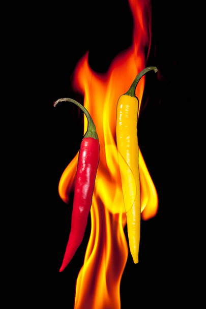 Chilli red and yellow isolated on pure black background. - Photo, Image
