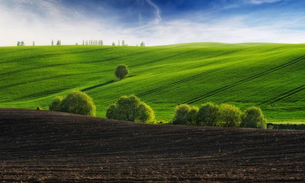 весеннее поле. живописное холмистое поле. сельскохозяйственное поле весной
 - Фото, изображение