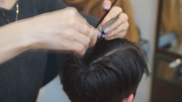 Uomo ottenere un taglio di capelli da un parrucchiere. - Filmati, video