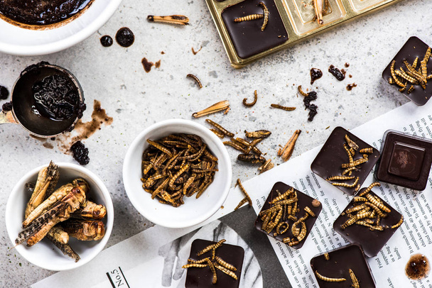 Çikolata ile ev yapımı yenilebilir böcekler - Fotoğraf, Görsel