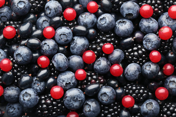 Ripe and sweet berries   - Foto, Imagem