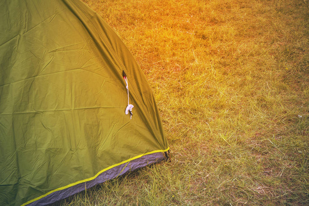 Green touristic tent among grass , on grassland, forest camp - Photo, Image