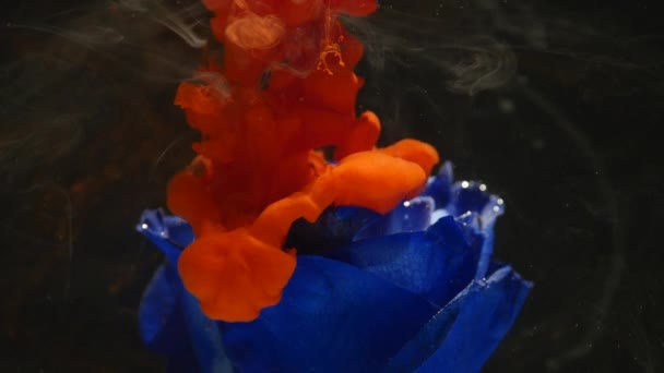 Amazingly wonderful atmospheric shot of a beautiful blue rose mixing with ink in water - Filmati, video