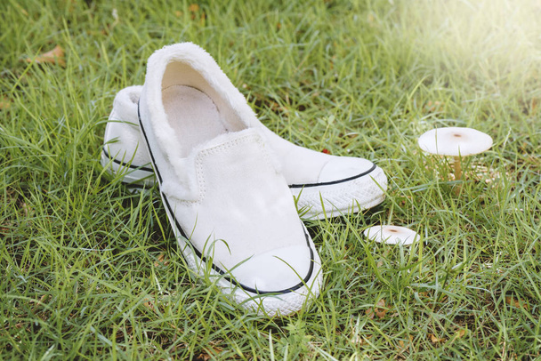 Beyaz canvas spor ayakkabı - Fotoğraf, Görsel