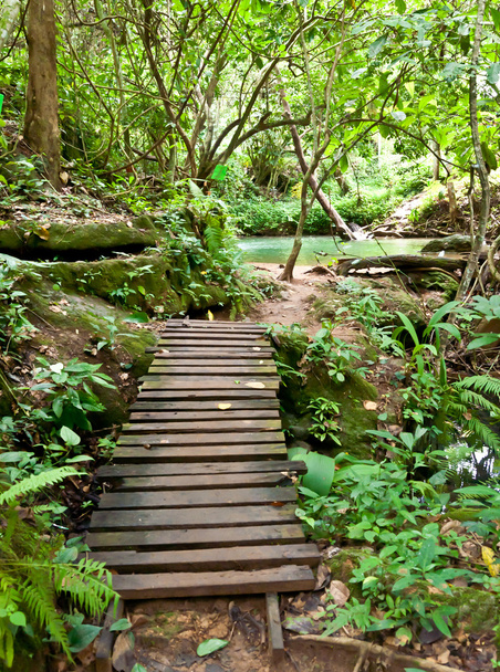 ponte di legno nella foresta
. - Foto, immagini