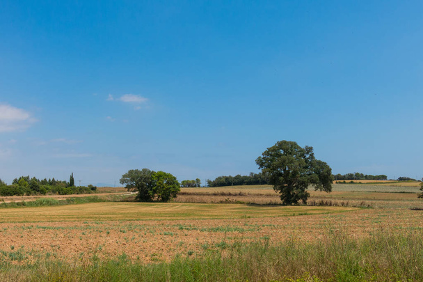 Polish countryside, harvested fields, haystacks.  - Photo, Image
