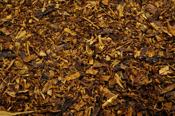dried pipe tobacco (Nicotiana) - Foto, Bild