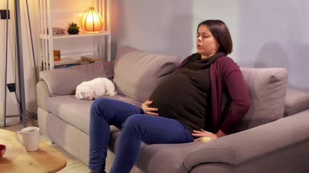 Beautiful pregnant woman feeling strong contractions asking for help calling husband - Záběry, video