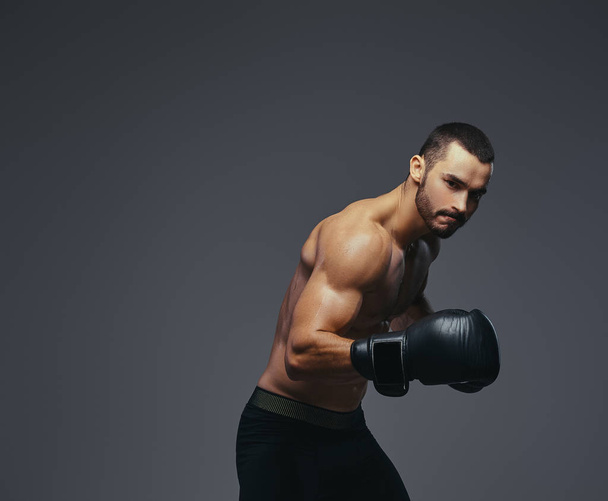 Studioporträt eines hemdlosen brutalen athletischen Boxers mit schwarzen Boxhandschuhen auf grauem Hintergrund. - Foto, Bild