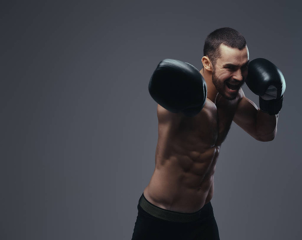 A brutal shirtless caucasian sportsman in boxing gloves training isolated on a gray background. - Photo, Image