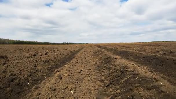 Campo arado após o plantio de batatas. Time Lapse. Vídeo. UltraHD (4K
) - Filmagem, Vídeo