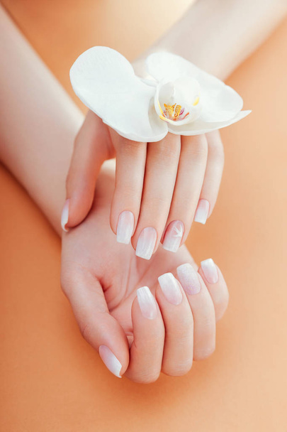 Ombre francuski manicure z Orchidea na pomarańczowym tle. Kobieta z białym ombre francuski manicure trzyma kwiat orchidei - Zdjęcie, obraz