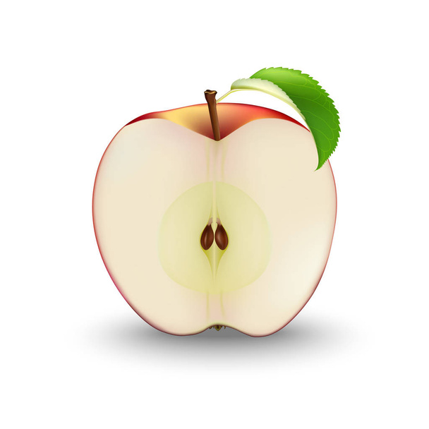 Διάνυσμα ρεαλιστική κόκκινο μήλο κομμένο στη μέση με σπόρους και φύλλα. Φέτα - Διάνυσμα, εικόνα