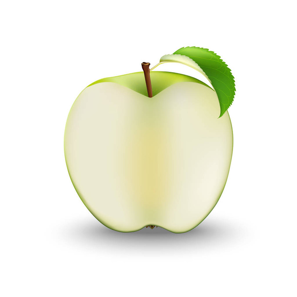 Vektör gerçekçi yeşil elma ikiye kesilmiş. Dilimlenmiş meyve. Detaylı - Vektör, Görsel