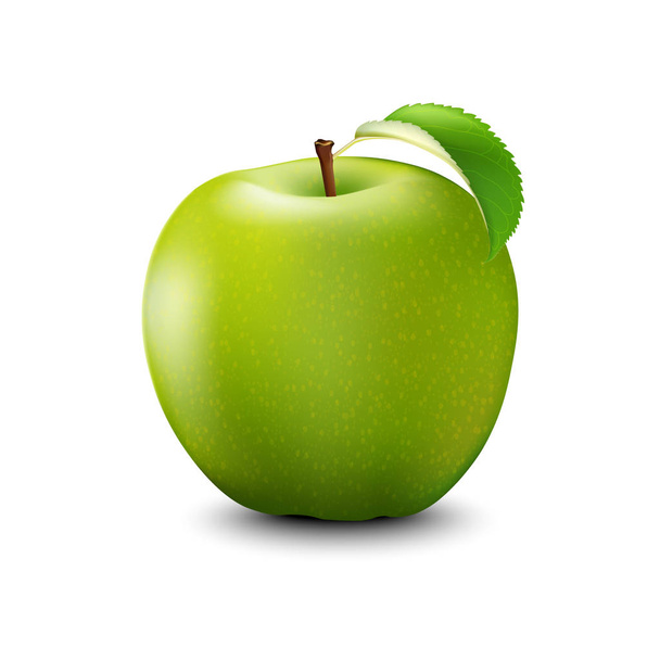 Vektör gerçekçi yeşil elma. Ayrıntılı 3d illüstrasyon izole  - Vektör, Görsel