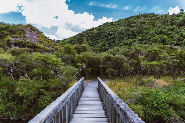 Wooden bridge in the forest of Waimangu Volcanic Valley in New Zealand - Photo, image
