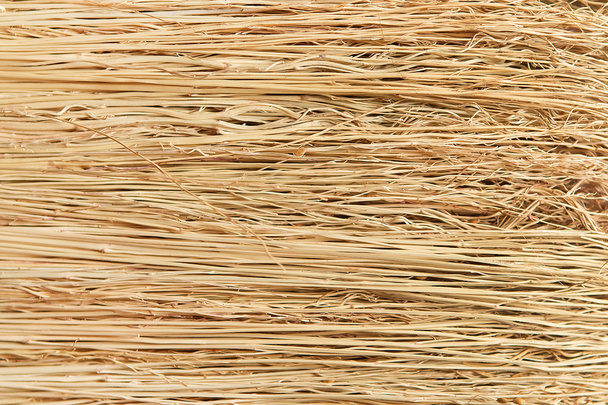 Broom, wood, - Fotografie, Obrázek