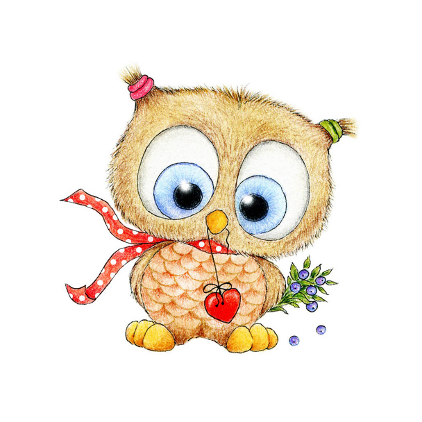 Cute owl with heart and a branch of berries - Photo, Image